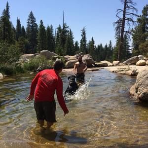 Meet your Posher, Brian